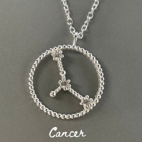 Sterling Silver Zodiac Constellation Necklaces - Picture 8 of 17